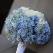 Blue hydrangea bouquet 