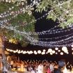 fairy light 