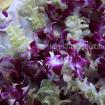 garlands Jaimala- indian wedding 