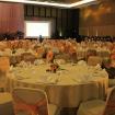 Gold and peach theme color 