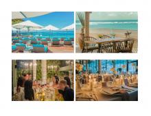 Canna Bali for Wedding