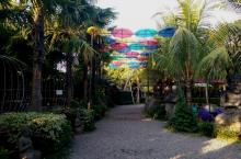 selfi spot -big garden corner