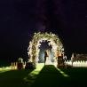 Bridegroom under the arch flower