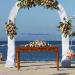 arch flower option I 